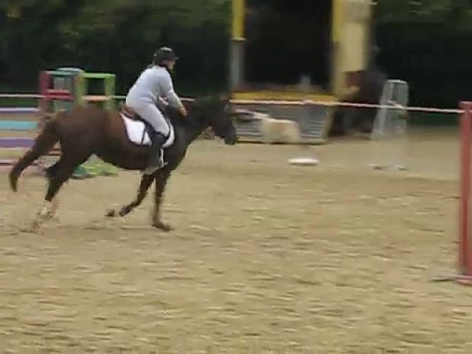 stand up ponette à vendre