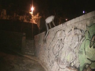 Test Light HD 2010 UT