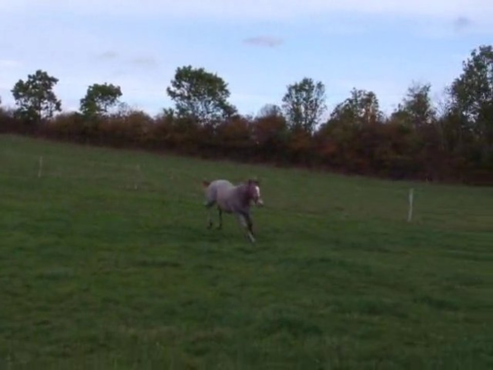 Absolute, son arrivée!!