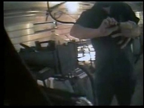 Cruauté envers les animaux 2 sur 5