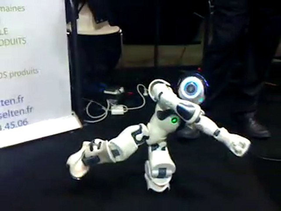 Robot Thaï Shi