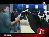 Castel James Jolie, la plus belle vache «Holstein»