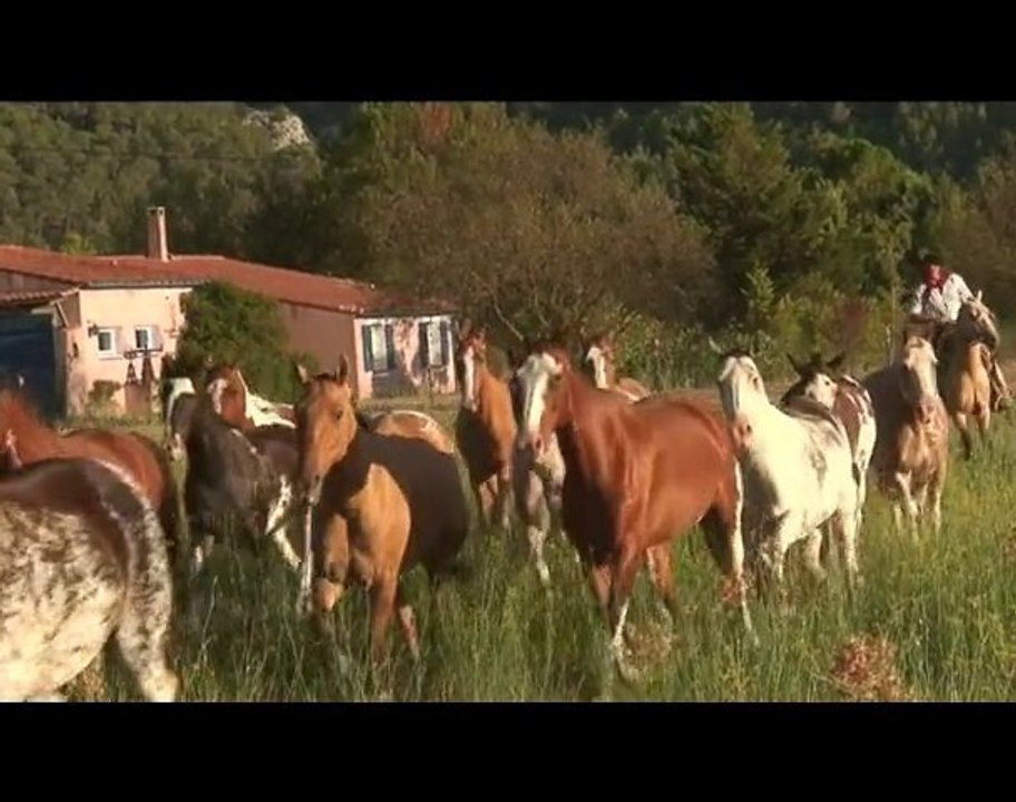 "Gaoucho en provence" Atkafilms