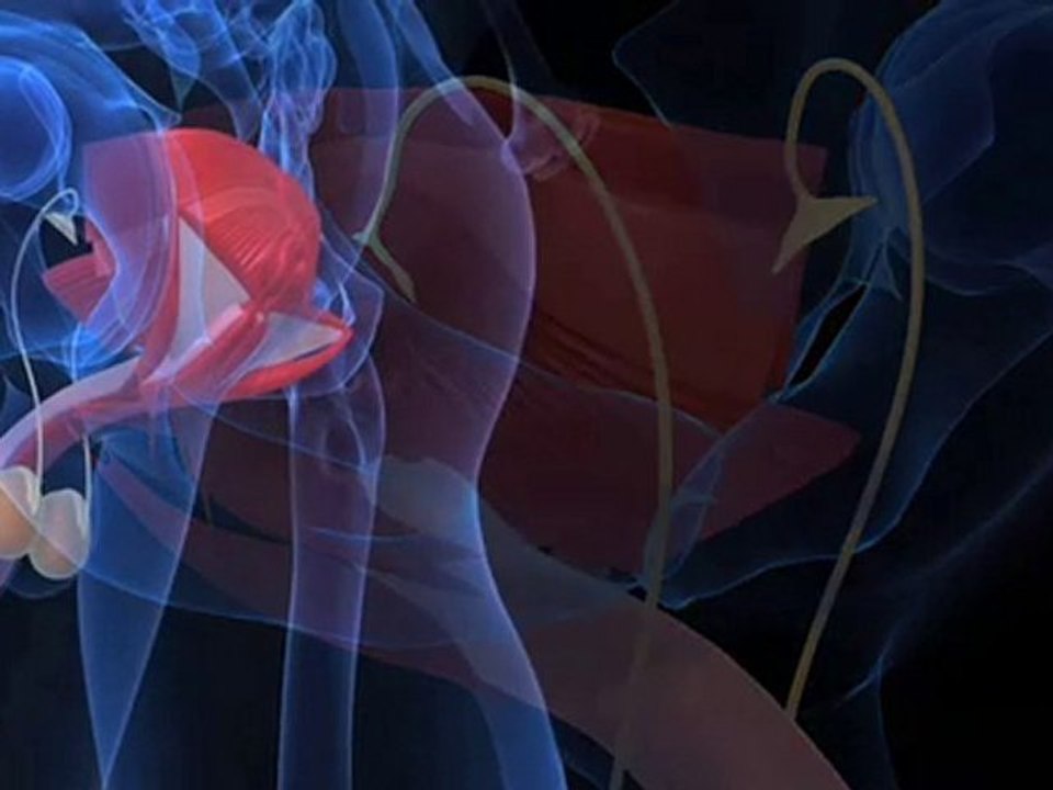 Hilft bei Prostata-Beschwerden / Prostata Symptome