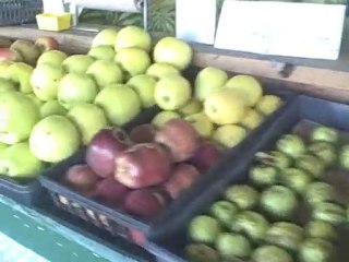Special Private Tour of Virginia Beach Farmer's Market