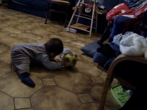 Mon bébé qui marche à quatres pattes