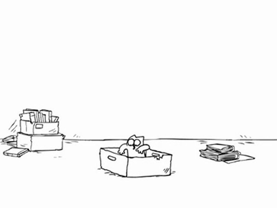 Simon's cat in The Box