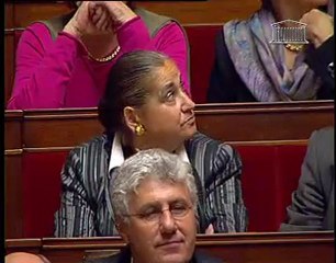 Questions au gouvernement du 3 novembre 2010 (A.SUGUENOT)