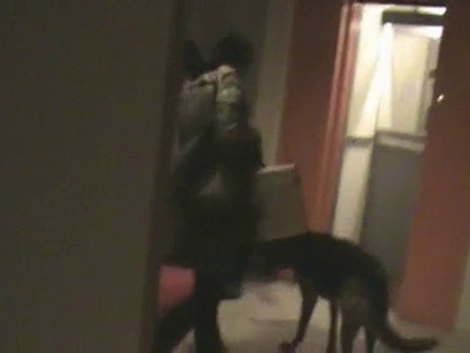 Eternal Elevator - Communista