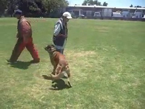 Charly du Calvaire aux Acacias ( Defensa )