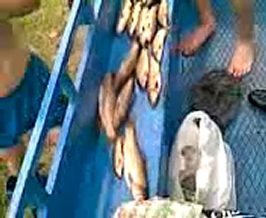 ünye çakmak köyü