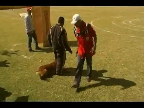 Arjun du Calvaire aux Acacias 30-01-10.m4v