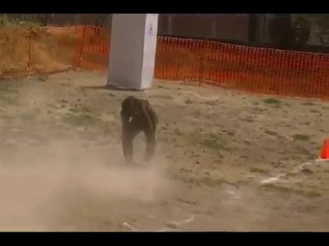 Arjun du Calvaire aux Acacias ( Ramses X Romane ) [HQ]