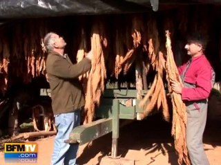 Les producteurs de tabac en colère