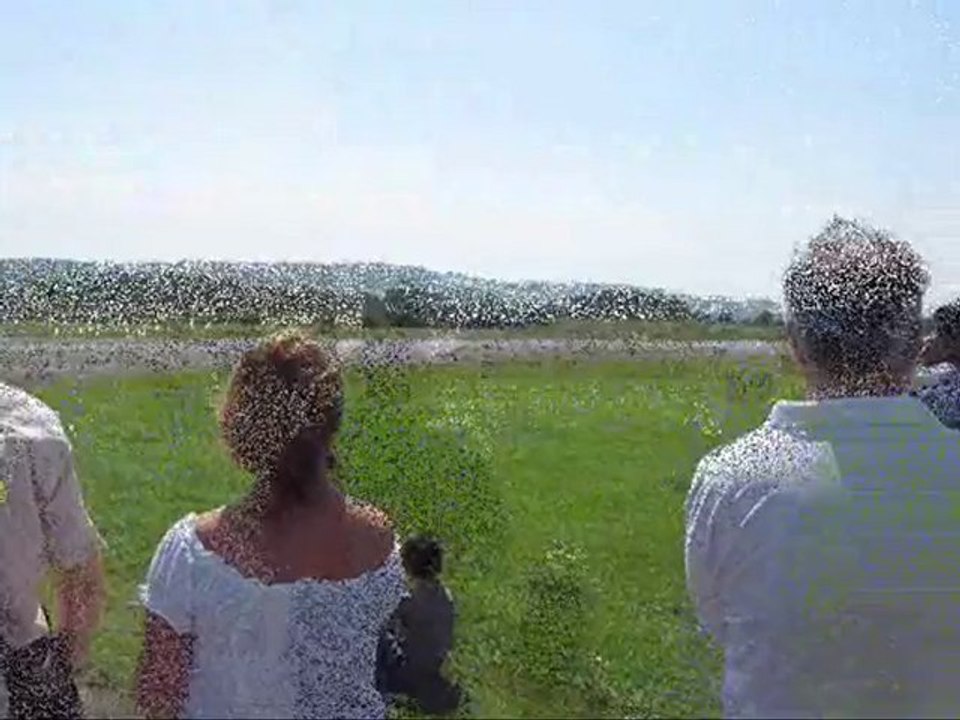 Fontenas 2010
