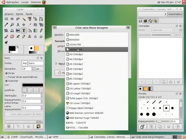 Vídeo Aulas de Gimp