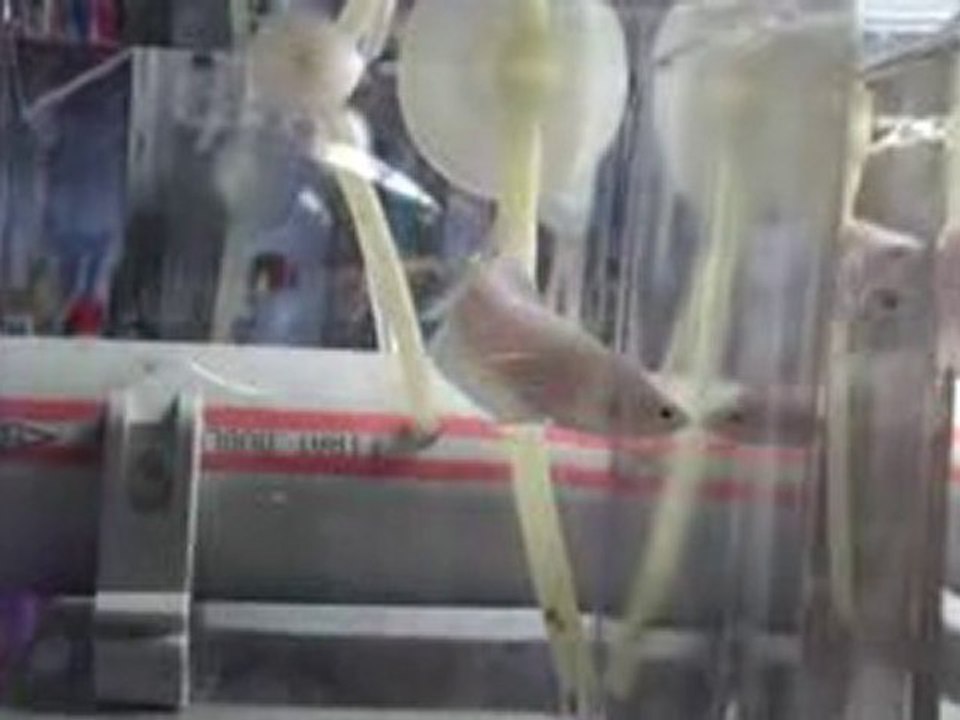 20101031221240