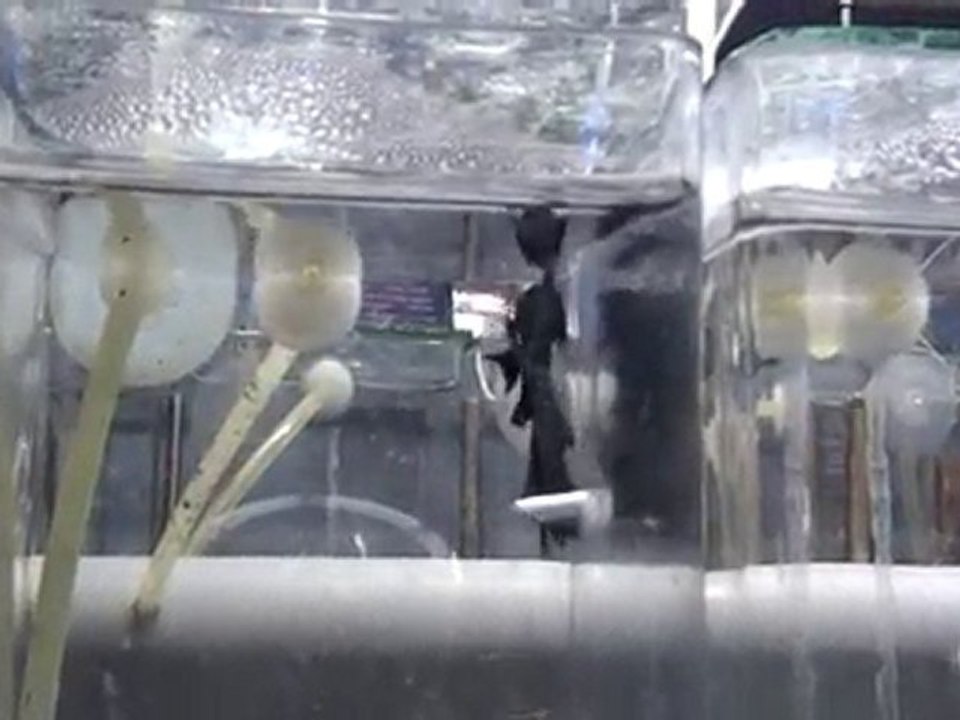 20101031220912