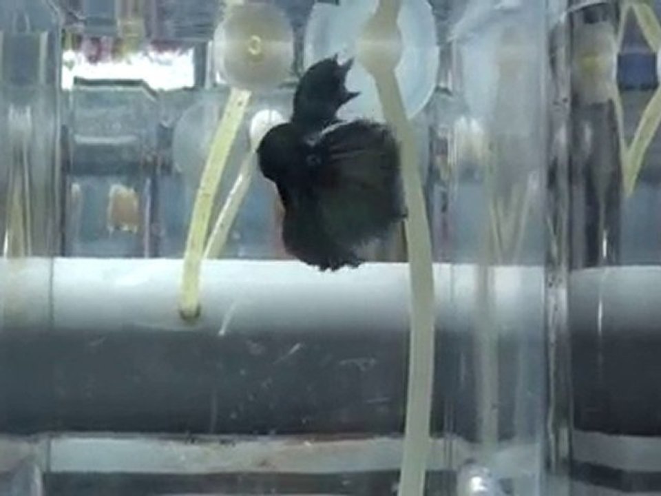 20101029150021