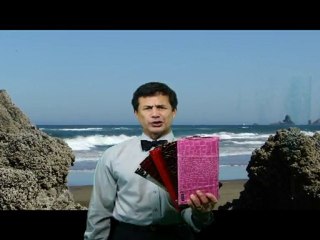 Miche Bag Man vs Old Spice Man?