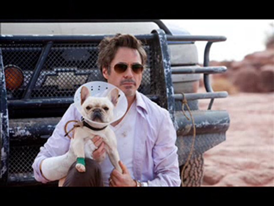 Due Date  Full Movie Free Download Online