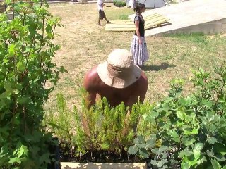 Imaginez Maintenant | Un jardin dans le Fort