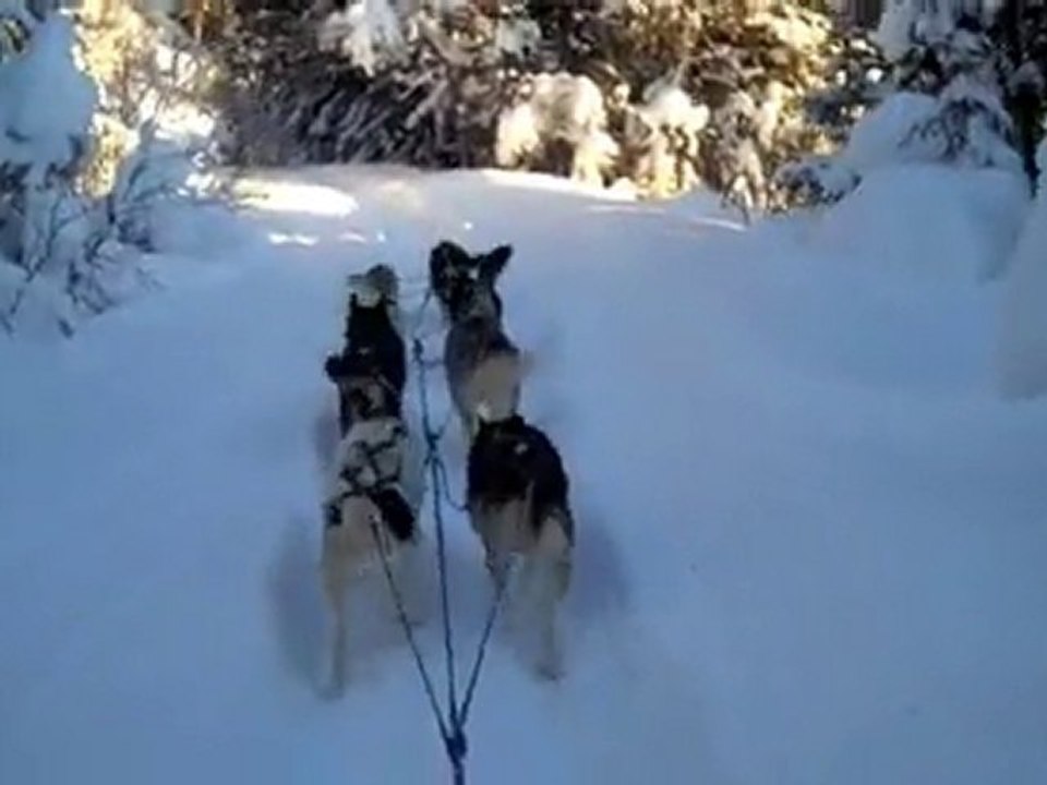 Mountain Climb