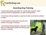 Rottweiler Training - Guarding Dog, Schutzhund and More