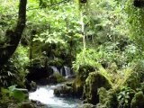 Naciente del Río Tioyacu (Rioja, Perú)