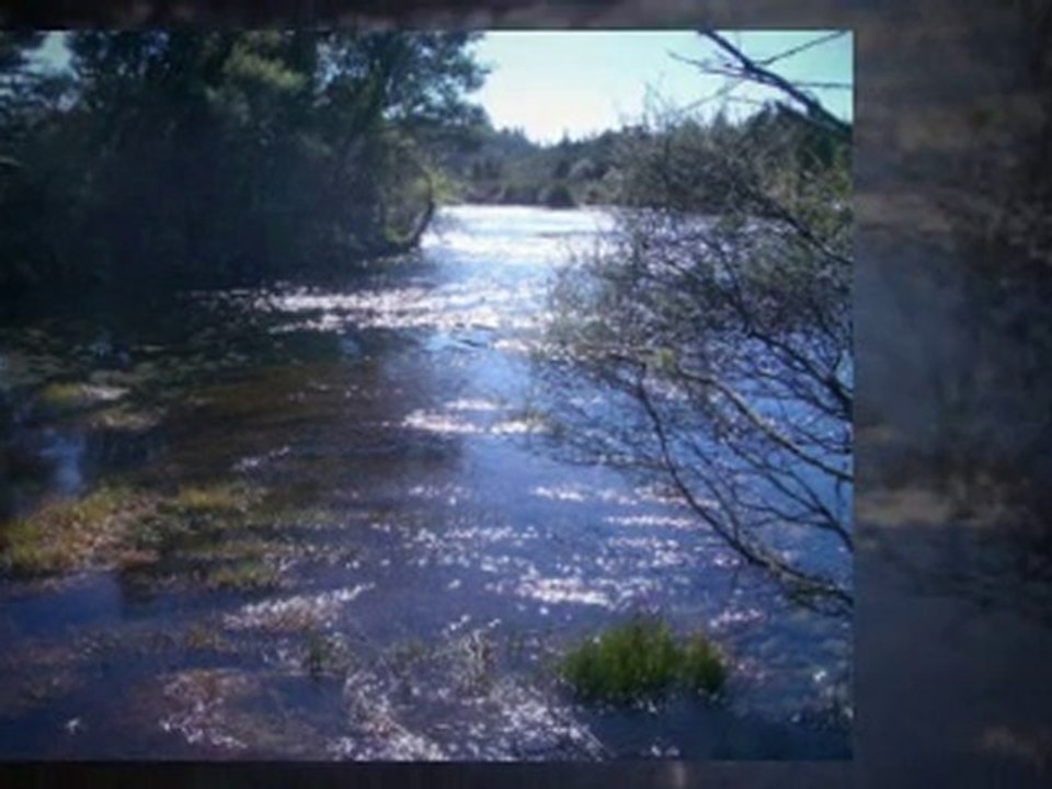 Entrepreneurship Summit 2010: Eric Lynn