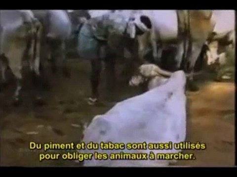 Earthlings ( Terriens ) version française partie 4