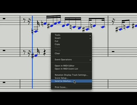 ProTools 8 - Editeur de Partitions (La Boite Noire)