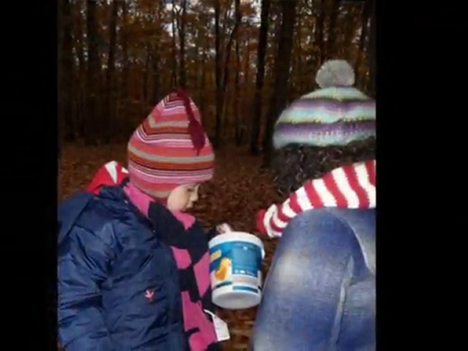 Ballade en föret avec l'école ( 4/11/2010)