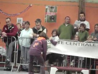 orphée et lucie jeunes conducteurs 2010