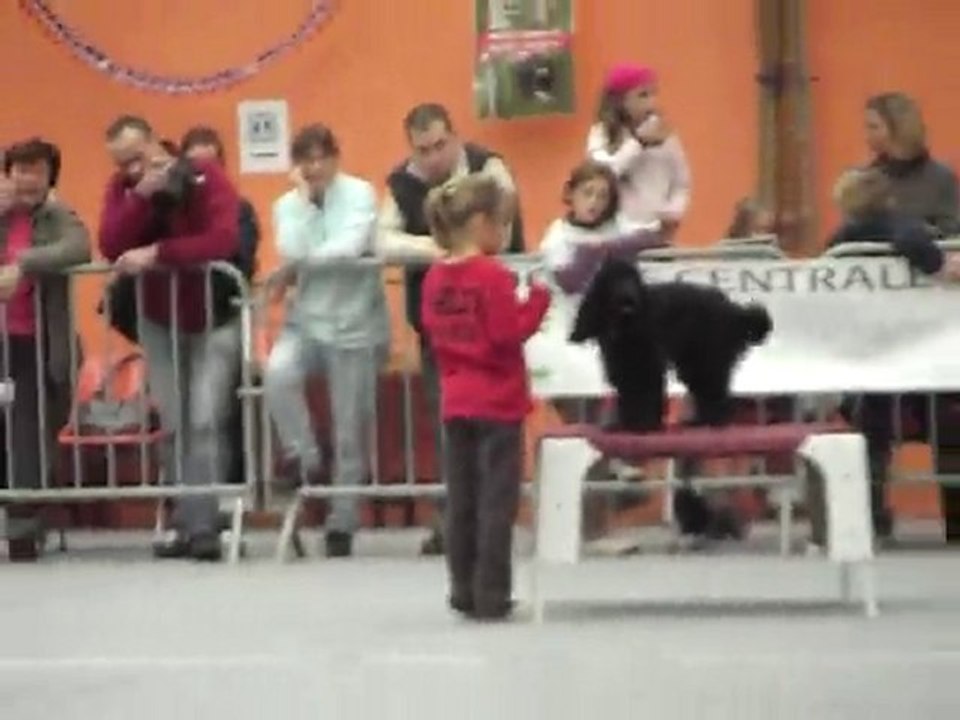 océane et doly  jeunes conducteurs 2010