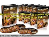 SEO Program - Find Out if You Need It
