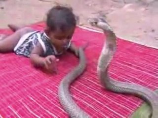 korkusuz çocuk ve kobra yılanı