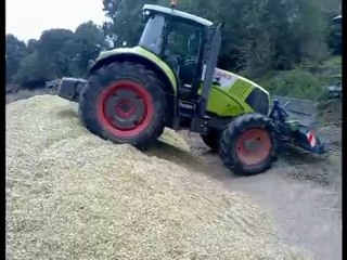 ensilage de maïs 2010