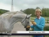 Les étalons du Haras du Four Blanc (Chalo-Saint-Mars)