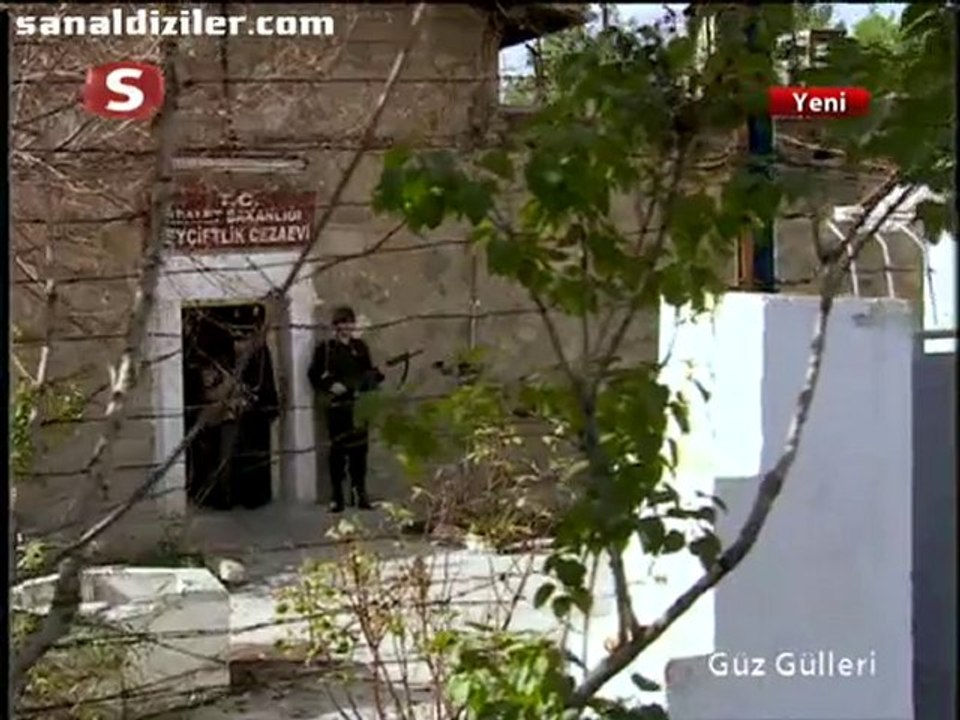 Guz.Gulleri.BL.04.1