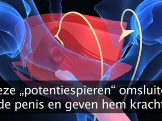 Erectieproblemen - zo komt de potentie terug!