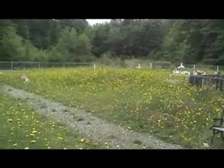 UNREPENTANT -- Kevin Annett and Canada's Genocide 1of11