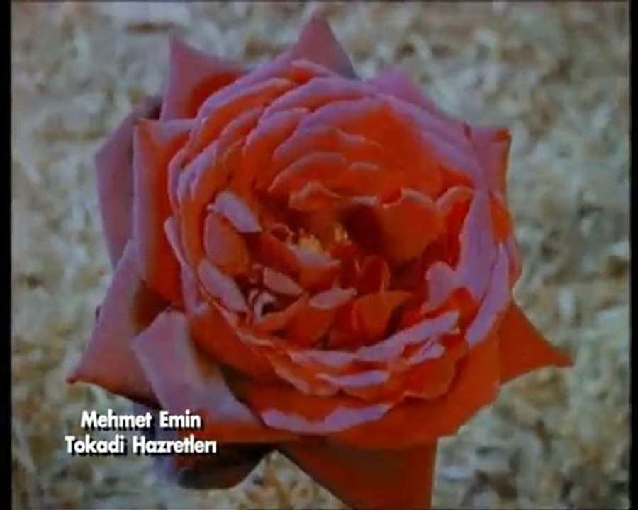 Mehmet Emin Tokadi Hazretleri