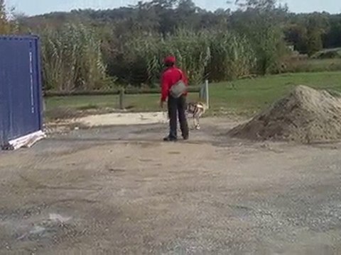 piste de recherche utilitaire