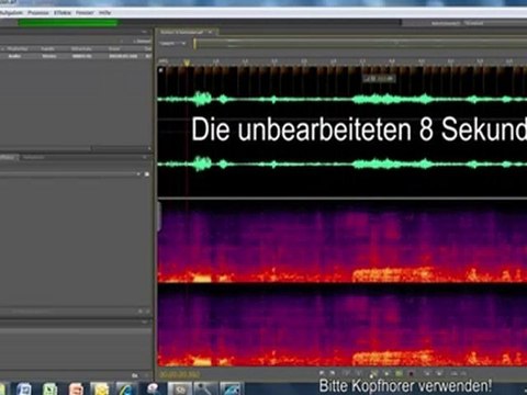 ORF-manipulation-HC Strache-Neonazis-FPO