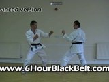 Karate Blocks and Counters Combinations Home DVD Course