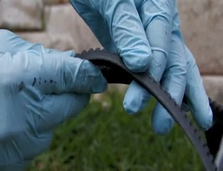 How to Perform a Basic Engine Tune Up (Check Belts)