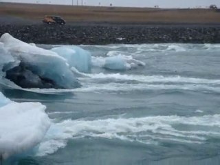 Islande phoques jouant