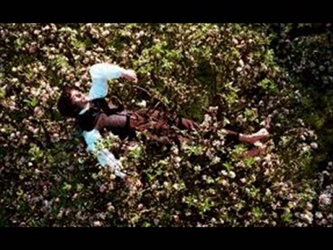 Bright Star, Free Online Forum & Discussions, Synopsis, ...