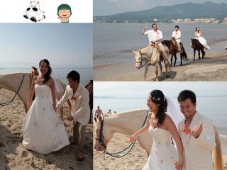 Polly & Sone's 10/10/10 Wedding Picture Slideshow